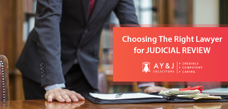 Choosing the Right Lawyer for Judicial Review
