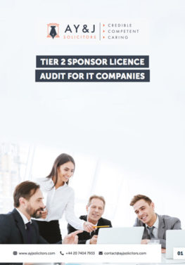 Sponsor Licence Audit: IT Company
