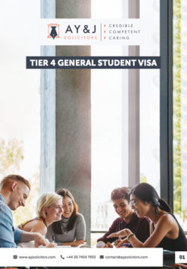 Tier 4 (General) Student Visa