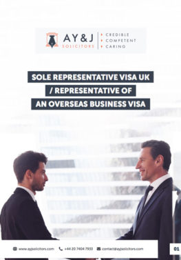 Sole Representative Visa
