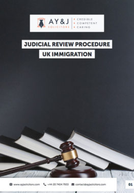 Judicial Review Procedure